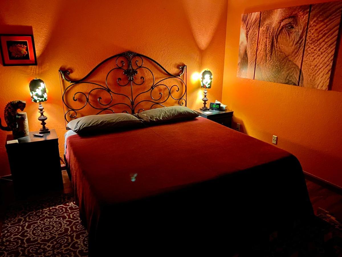 サンタローザ My Big Art Project Bed & Breakfast エクステリア 写真